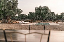 Lamiola Parco Paolino veranda pool and olive grove