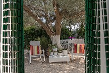 La Torretta schöner Sitzplatz unter dem alten Olivenbaum