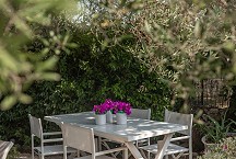 La Torretta beautiful seating under the olive tree