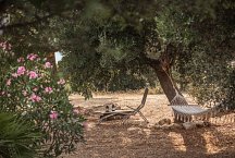 Trullo Termetrio_garden with hammock